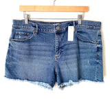LOFT Distressed Jean Shorts NWT- Size 32/14
