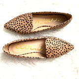 Ccocci Animal Print Pointed Flats- Size 7 (brand new condition)