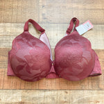 Cacique Wine Lace Underwire Bra NWT- Size 38D