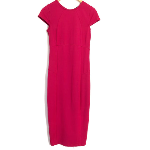Felicity and Coco Pink Ward Seamed Pencil Dress- Size S