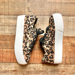 Steve Madden Animal Print Platform Sneakers- Size 8.5 (sold out online, brand new condition!)