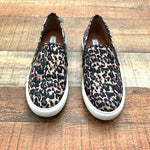 Steve Madden Animal Print Slip On Sneaker- Size 8.5