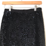 Ann Taylor Sequin Pencil Skirt- Size 0 Petite