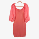 Vestique Pink Rosalia Sheer Sleeve Dress NWT- Size M