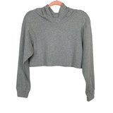 J.Inc Grey Cropped Hoodie- Size S